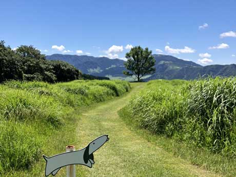 鍋ヶ滝(裏)