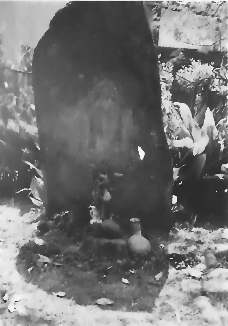 第二章歴史 原始-古代
